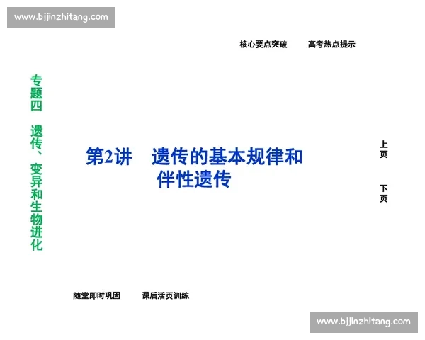 体育心理优化策略研究与运动表现提升方法探讨
